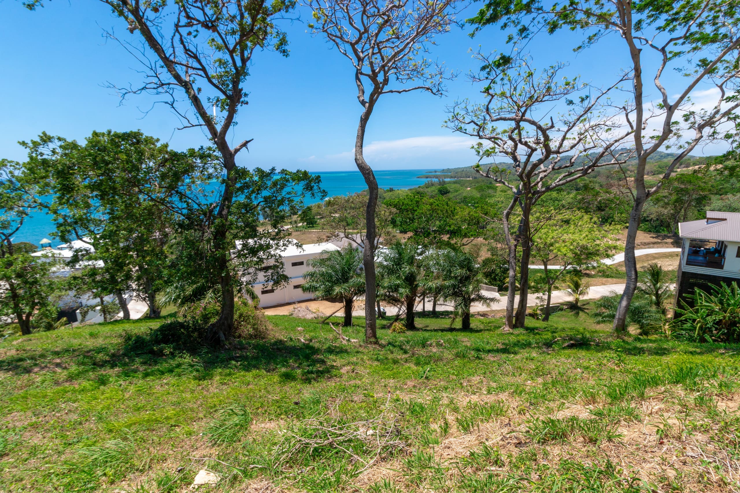 Panguea Beach-1