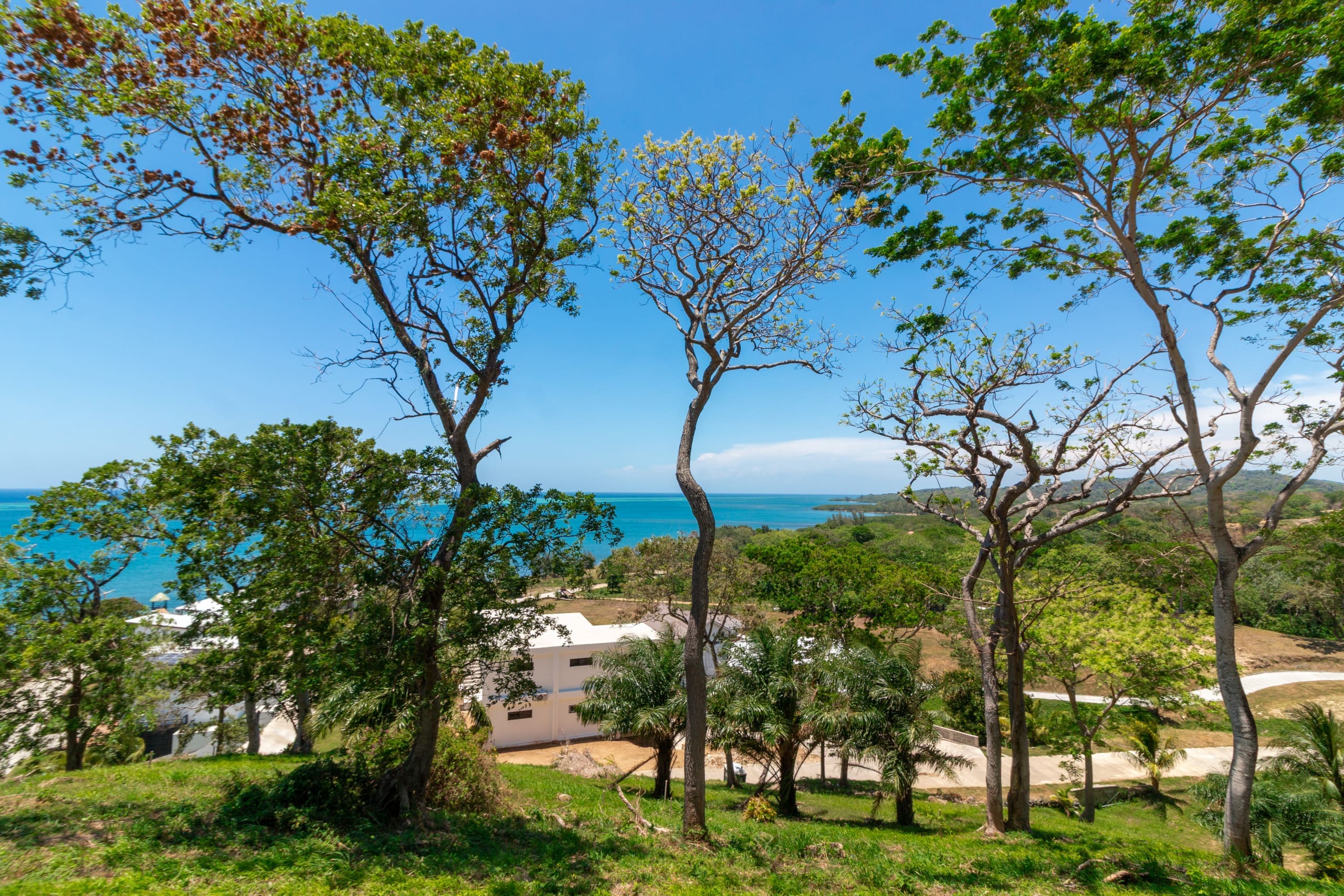 Panguea Beach-2