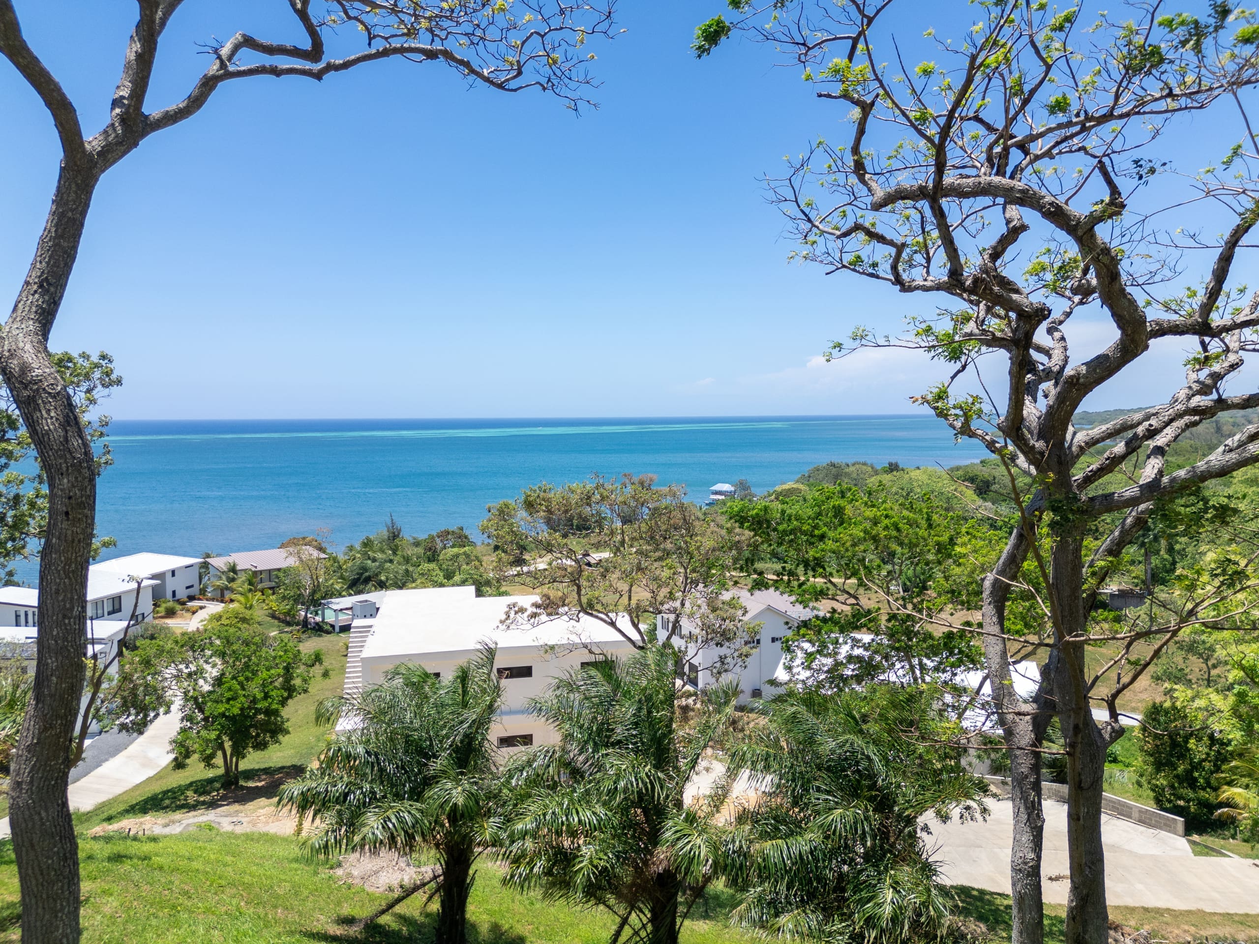 Panguea Beach-6