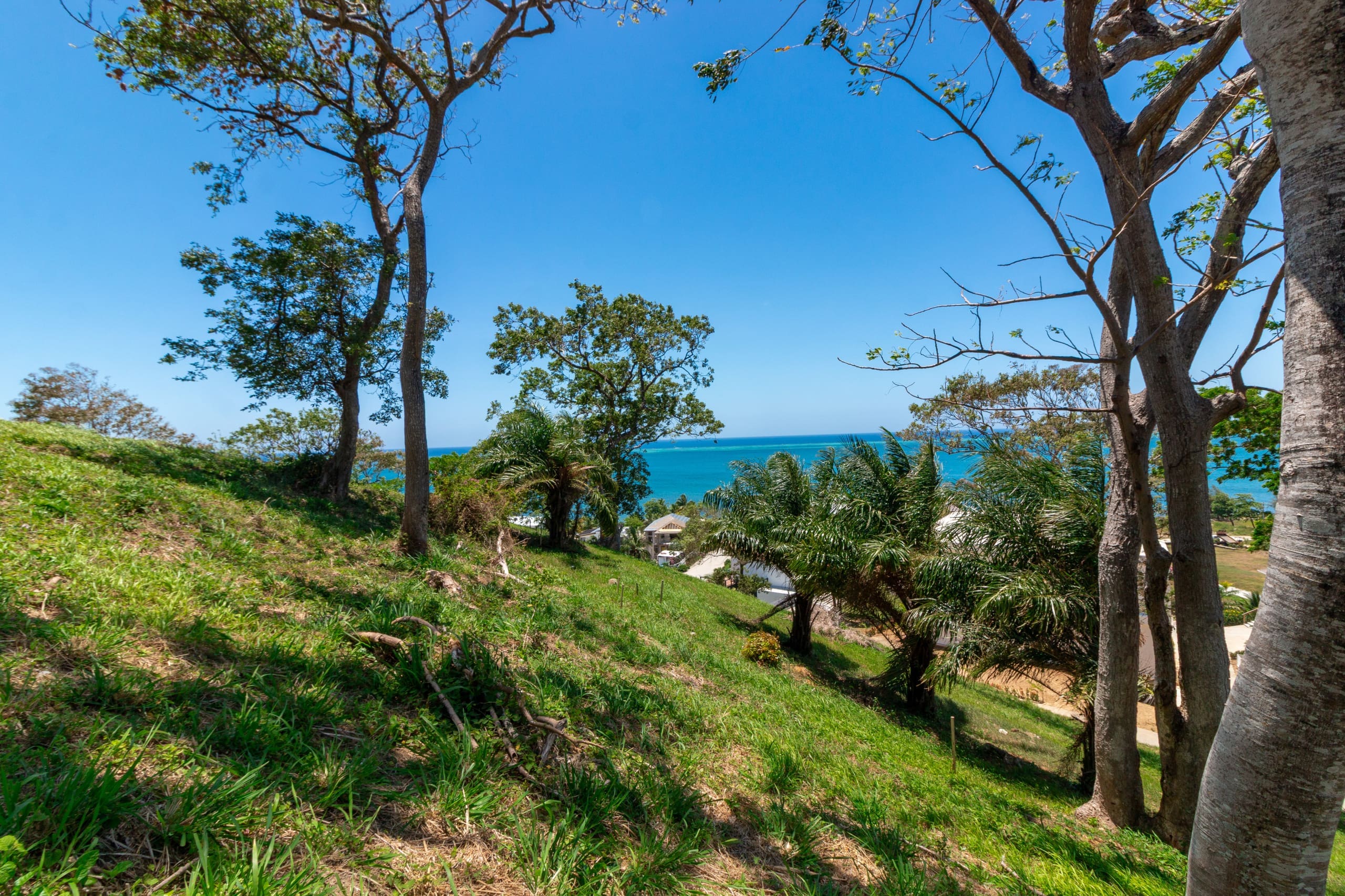 Panguea Beach-9